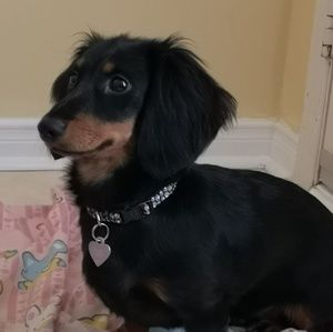 Meet your Posher, Vivian